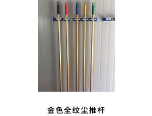 金色全纹尘推杆