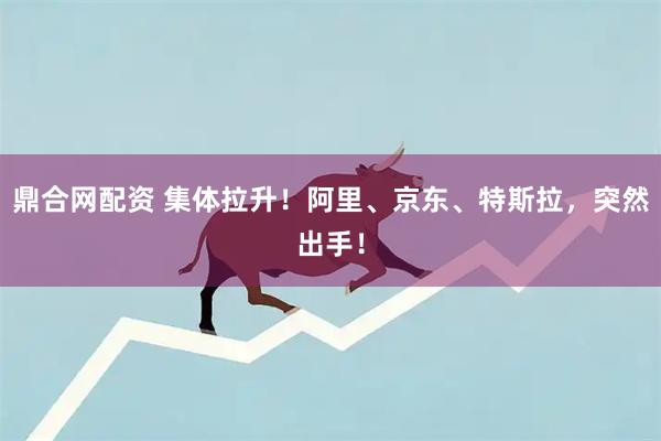 鼎合网配资 集体拉升！阿里、京东、特斯拉，突然出手！