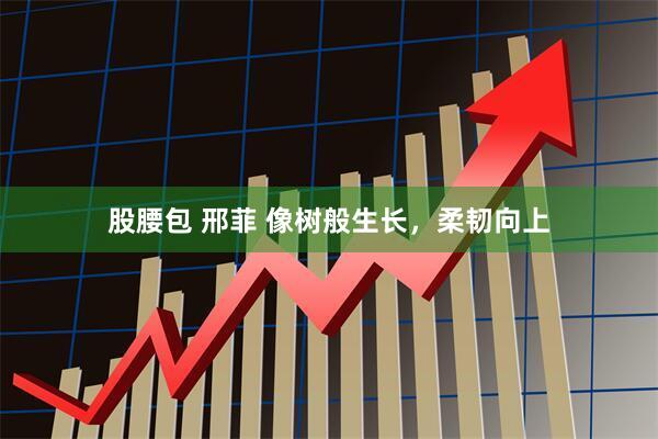 股腰包 邢菲 像树般生长，柔韧向上