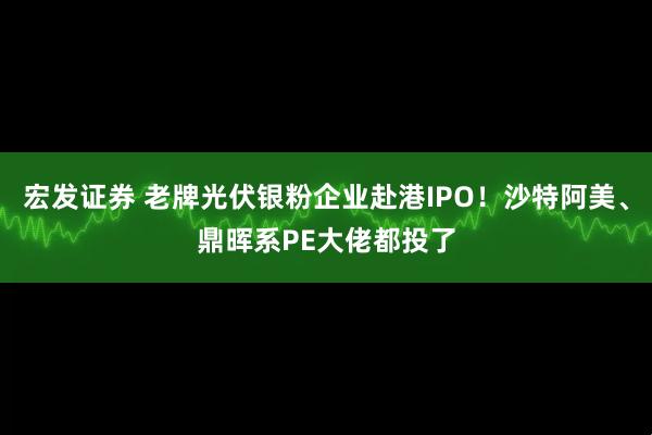 宏发证券 老牌光伏银粉企业赴港IPO！沙特阿美、鼎晖系PE大佬都投了