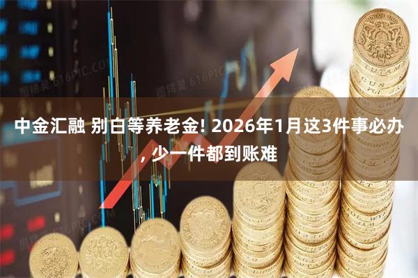 中金汇融 别白等养老金! 2026年1月这3件事必办, 少一件都到账难